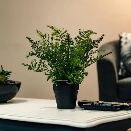 Perfect Leisure And Corporate 2-bedroom In Town Centre *