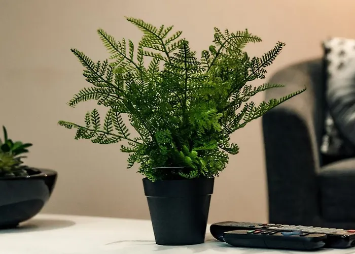 Perfect Leisure And Corporate 2-bedroom In Town Centre *